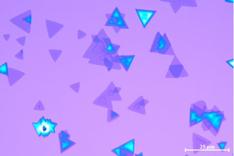 CVD二硫化鎢膜WS2連續膜